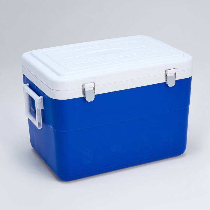 Термоконтейнер для еды, изотермический, пластик, 45 л, до 36 ч, 52×37×37 см, синий